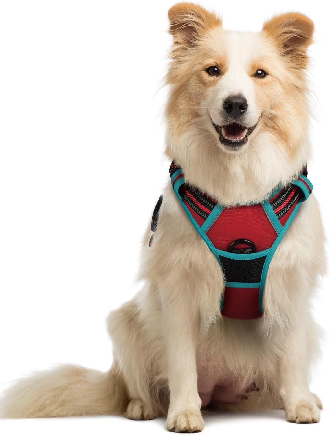 Dog Harness, No-Pull Pet Harness with 2 Leash Clips, Adjustable Soft Padded Dog Vest, Reflective Outdoor Pet Oxford Vest with Easy Control Handle for Large Dogs, Black