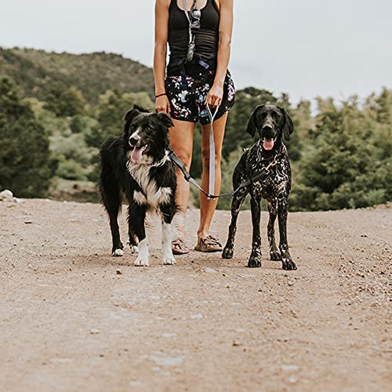 Double Dog Leash, No Tangle Adjustable Split Lead for Two Dogs | Fits 0-100 Lb, 16-24 in Range, Reflective Stitching, Waterproof, Neoprene Padded Handle