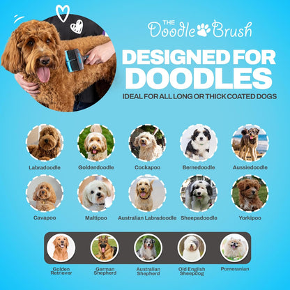 Slicker Dog Brushes Curly Coat Detangler, Double Head | Flexible Grooming Brush, Ergonomic Handle, Goldendoodle, Cockapoo, Cavapoo, Dematting Dogs, Removes Mats and Tangles