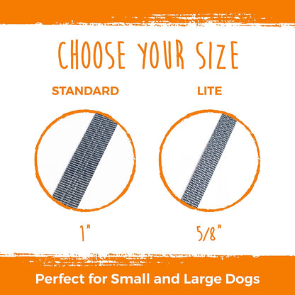 Double Dog Leash, No Tangle Adjustable Split Lead for Two Dogs | Fits 0-100 Lb, 16-24 in Range, Reflective Stitching, Waterproof, Neoprene Padded Handle